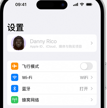 平桂appleID维修服务iPhone设置中Apple ID显示为灰色无法使用