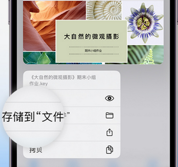 平桂apple维修中心分享iPhone文件应用中存储和找到下载文件