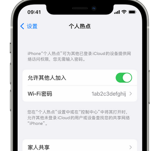 平桂apple服务站点分享iPhone上个人热点丢失了怎么办 