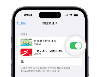 平桂apple维修点分享iPhone上更换Apple Pay快捷交通卡手绘卡面 