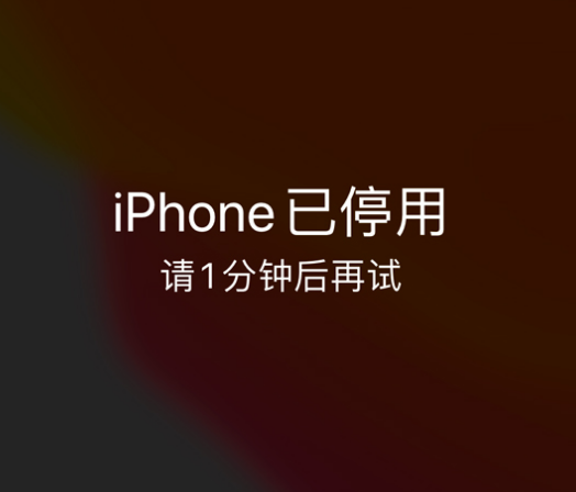 平桂苹果手机维修分享:iPhone 显示“不可用”或“已停用”怎么办？还能保留数据吗？ 