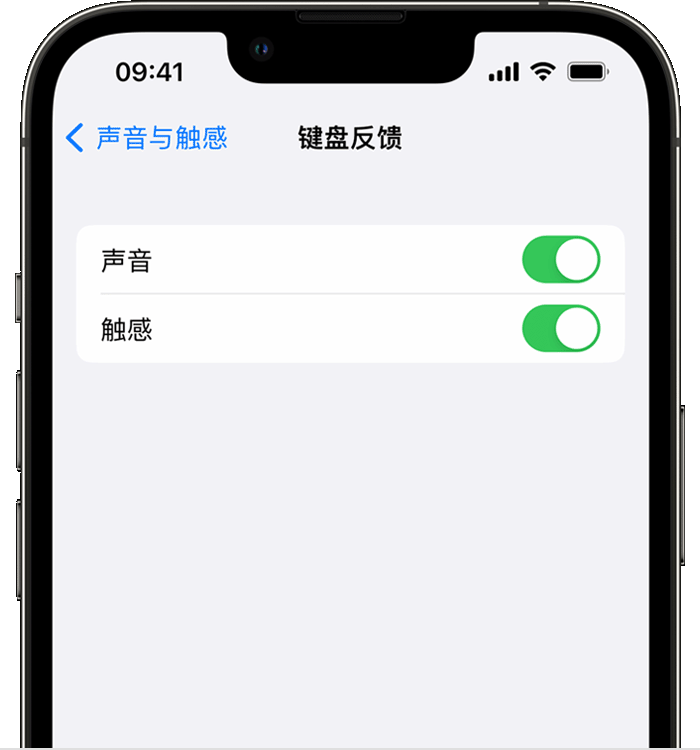 平桂苹果14维修店分享如何在 iPhone 14 机型中使用触感键盘 