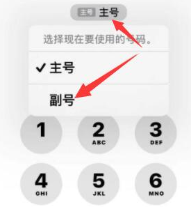 平桂苹果14维修店分享iPhone 14 Pro Max使用副卡打电话的方法 