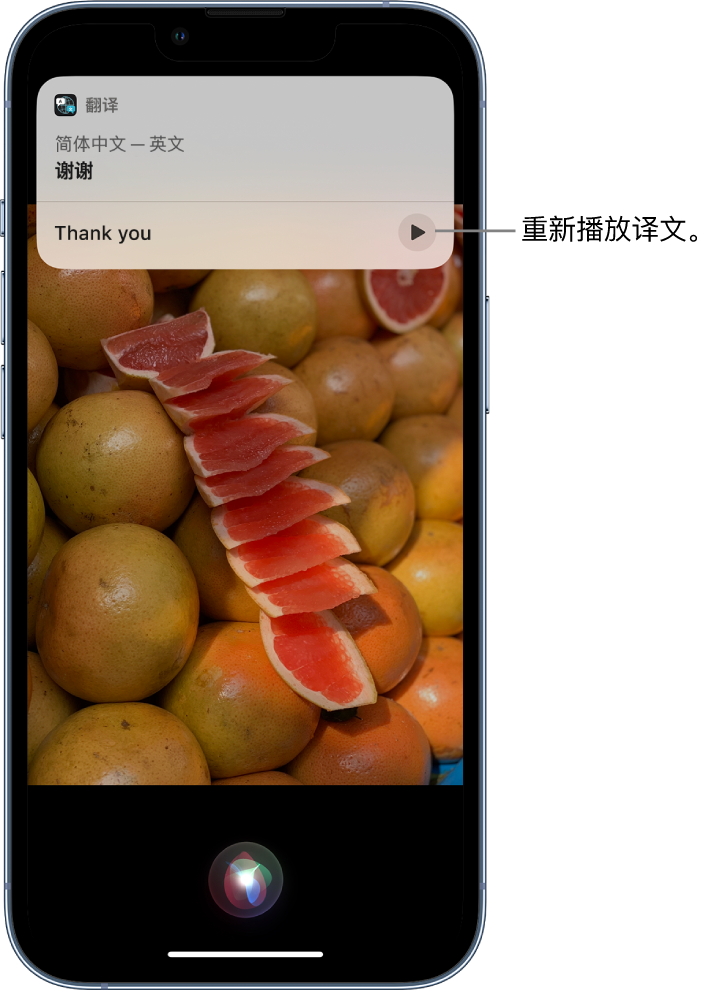 平桂苹果14维修分享 iPhone 14 机型中使用 Siri：了解 Siri 能帮你做什么 