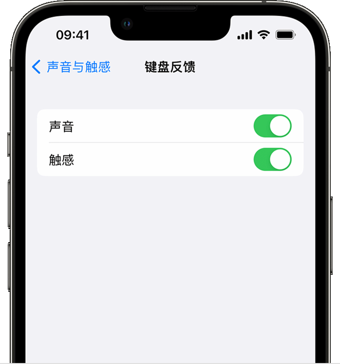 平桂苹果14维修分享iPhone 14 系列机型如何开启键盘声音或触感反馈 