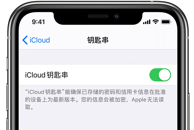 平桂苹果手机维修分享在 iPhone 上开启 iCloud 钥匙串之后会储存哪些信息 