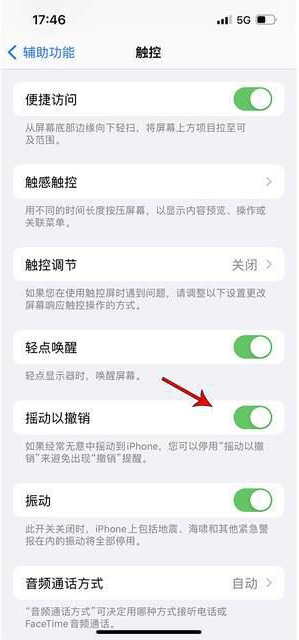 平桂苹果手机维修分享iPhone手机如何设置摇一摇删除文字 