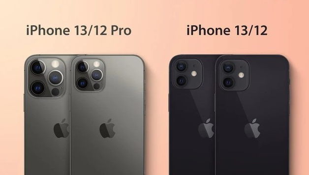 平桂苹果手机维修分享iPhone 13 摄像头长什么样 