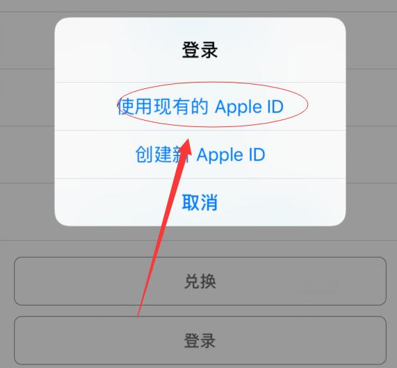 平桂苹果手机维修分享两台iPhone设备可以同时登录一个Apple ID吗 