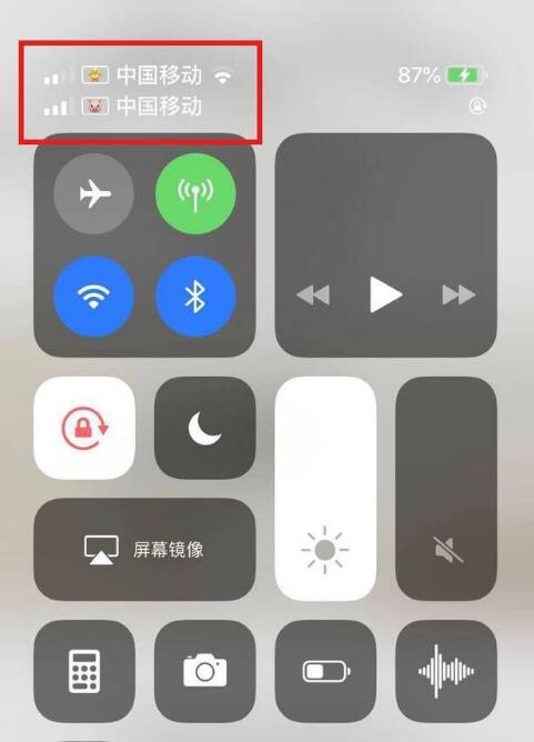 平桂苹果手机维修分享为 iPhone 12 双卡设置标签 