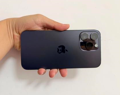 平桂苹果维修点分享iPhone 14 Pro Max发烫多重诱因剖析 
